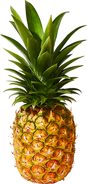 pineapple